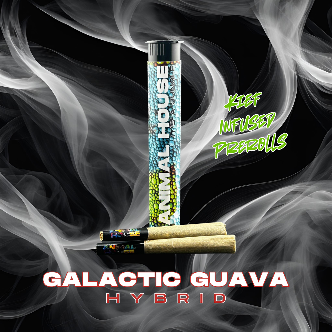 PRE-ROLL - 2 PACK INFUSED - GALACTIC GUAVA