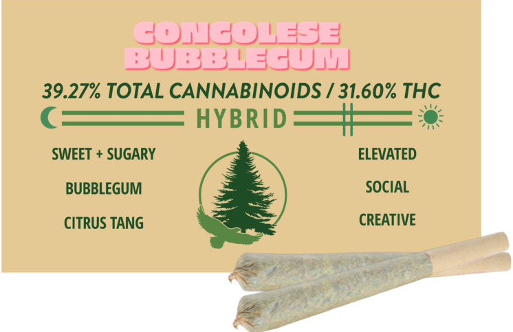 PRE-ROLL - CONGOLESE BUBBLEGUM - 0.7 g - 2 Pack