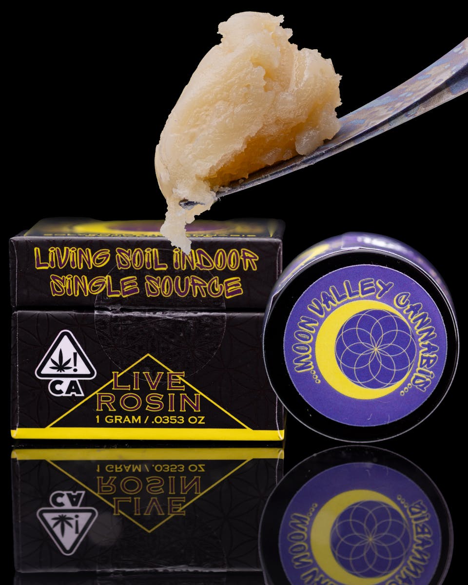 Panther Cold Cure Live Rosin