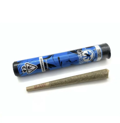 Gascotti Preroll