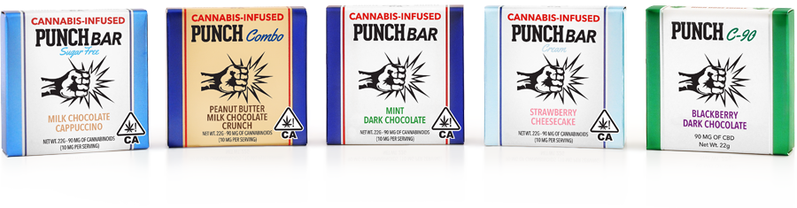 Dark Chocolate Sea Salt Bar