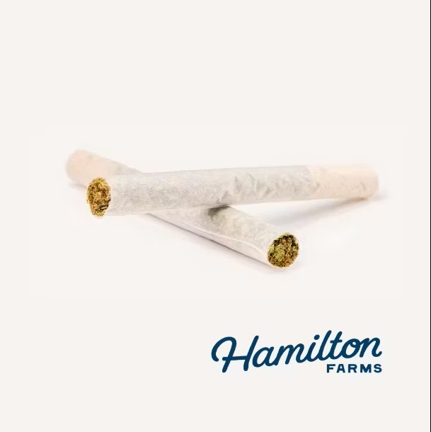 Strawberry Milano I Hamilton Pre-roll - 1 g - 2 Pack