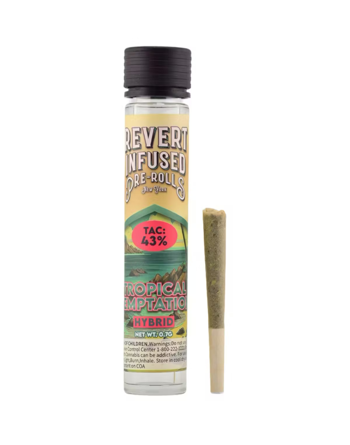 Tropical Temptation | Infused Pre-Roll |  .7g