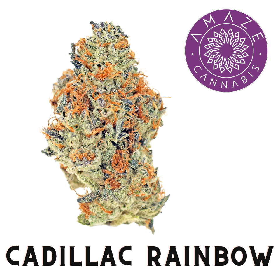 AMAZE CANNABIS NUGZ Cadillac Rainbow | Nugz | (1/2oz) | Indica