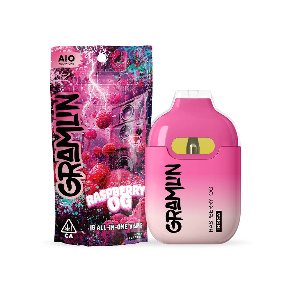 RASPBERRY OG 1G ALL-IN-ONE VAPE