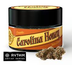 Carolina Honey | 28G - 28g in Quincy