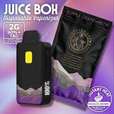 Purple Grapewreck | Juice Box | 2G Disposable