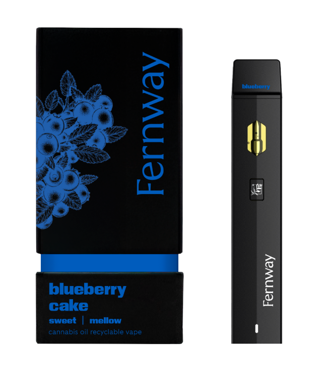 Blueberry Cake | 1G Traveler