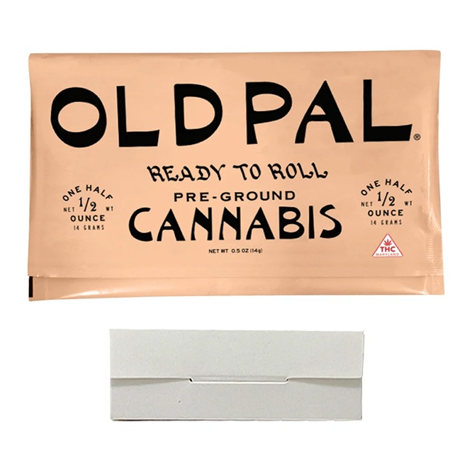 Pineapple Under the Sea | 14G Pre-ground 