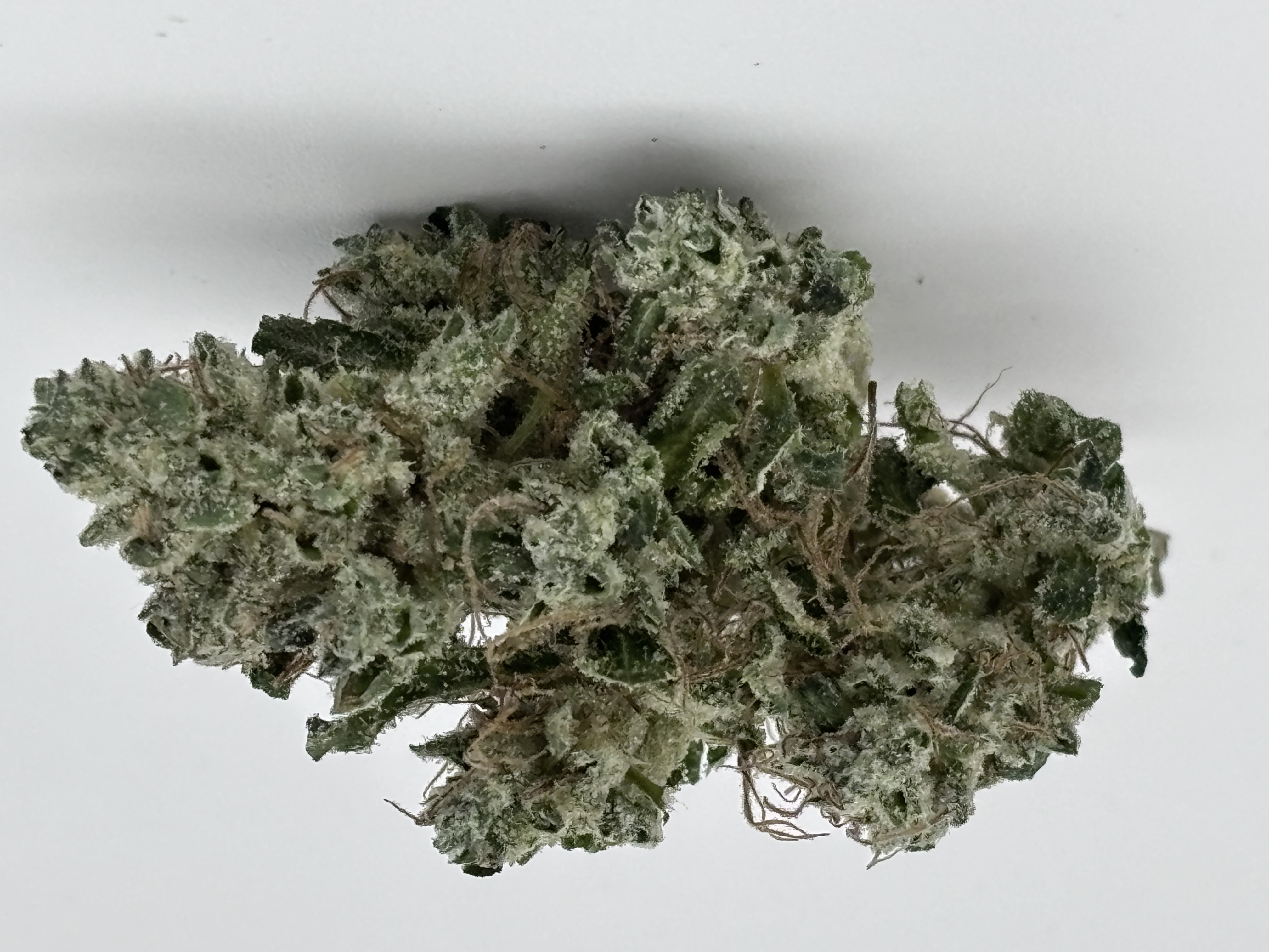 SOLACE GROWN - SOUR DIESEL - TOP SHELF - 1/2OZ