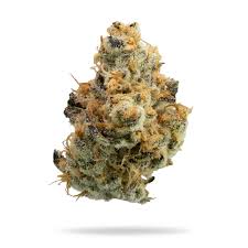 SHIFT - DANKAROOZ - TOP SHELF - 1/2 OZ