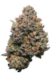 CLARITY GARDENS - RAINBOW BELTZ - 1/2 OZ