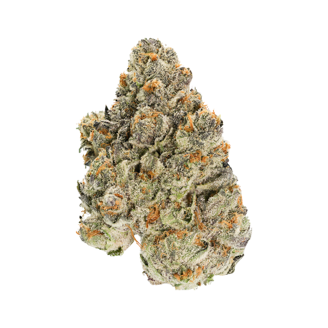 GUAVA - 4G - 4 g