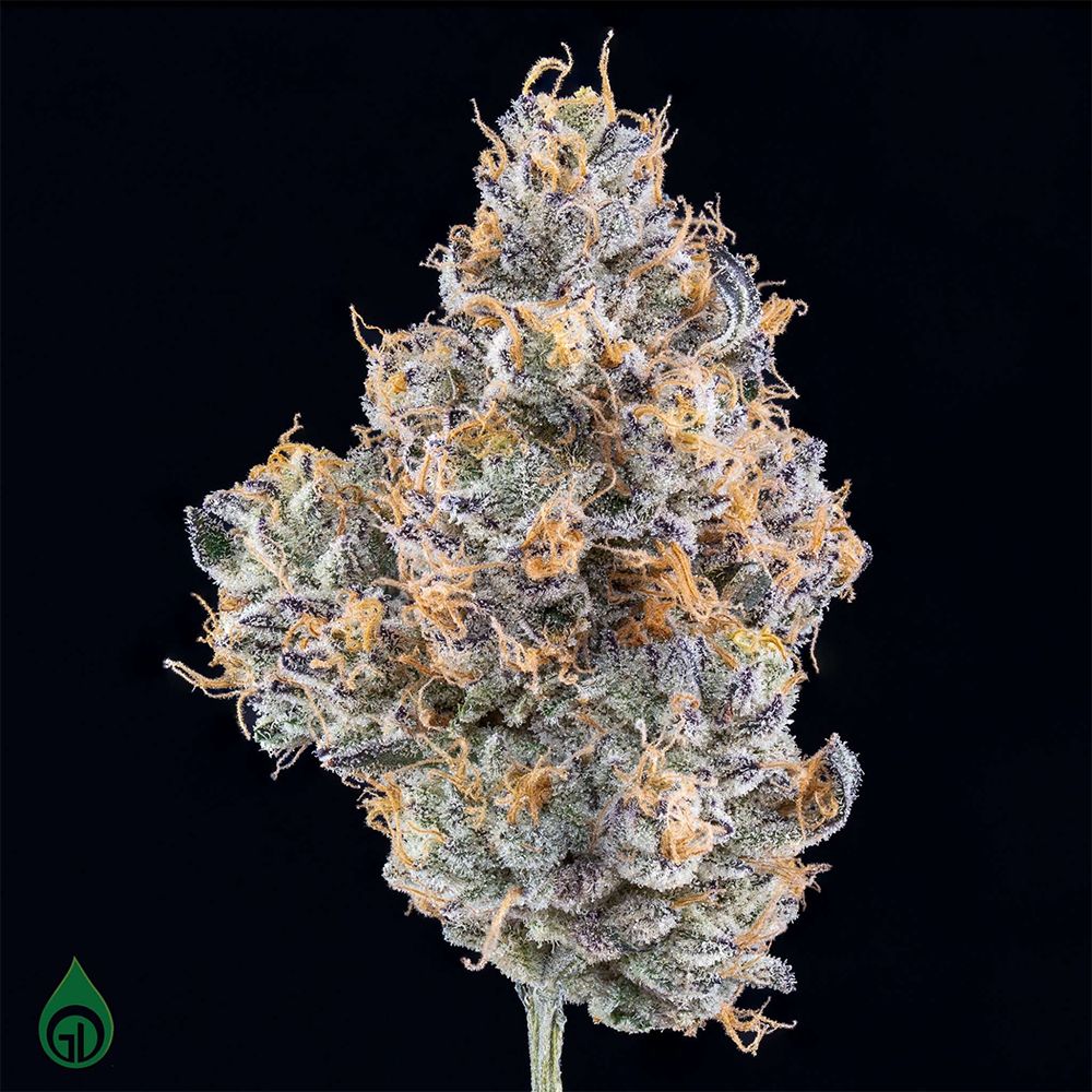 GREEN DOT LABS - SCREAMING OG - 7G