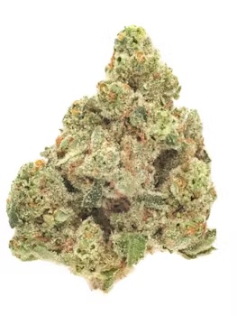 KEY LIME PIE - 4G