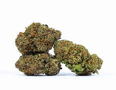 (MED) SOLACE GROWN - GSC - GOLD