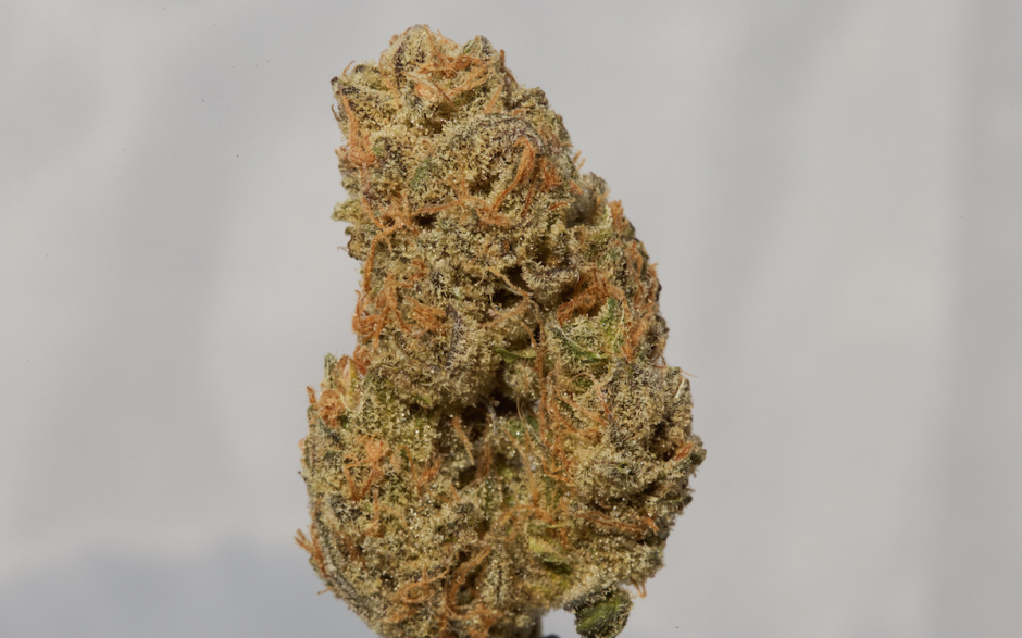 14ER - HONEY BANANA - 3.5G