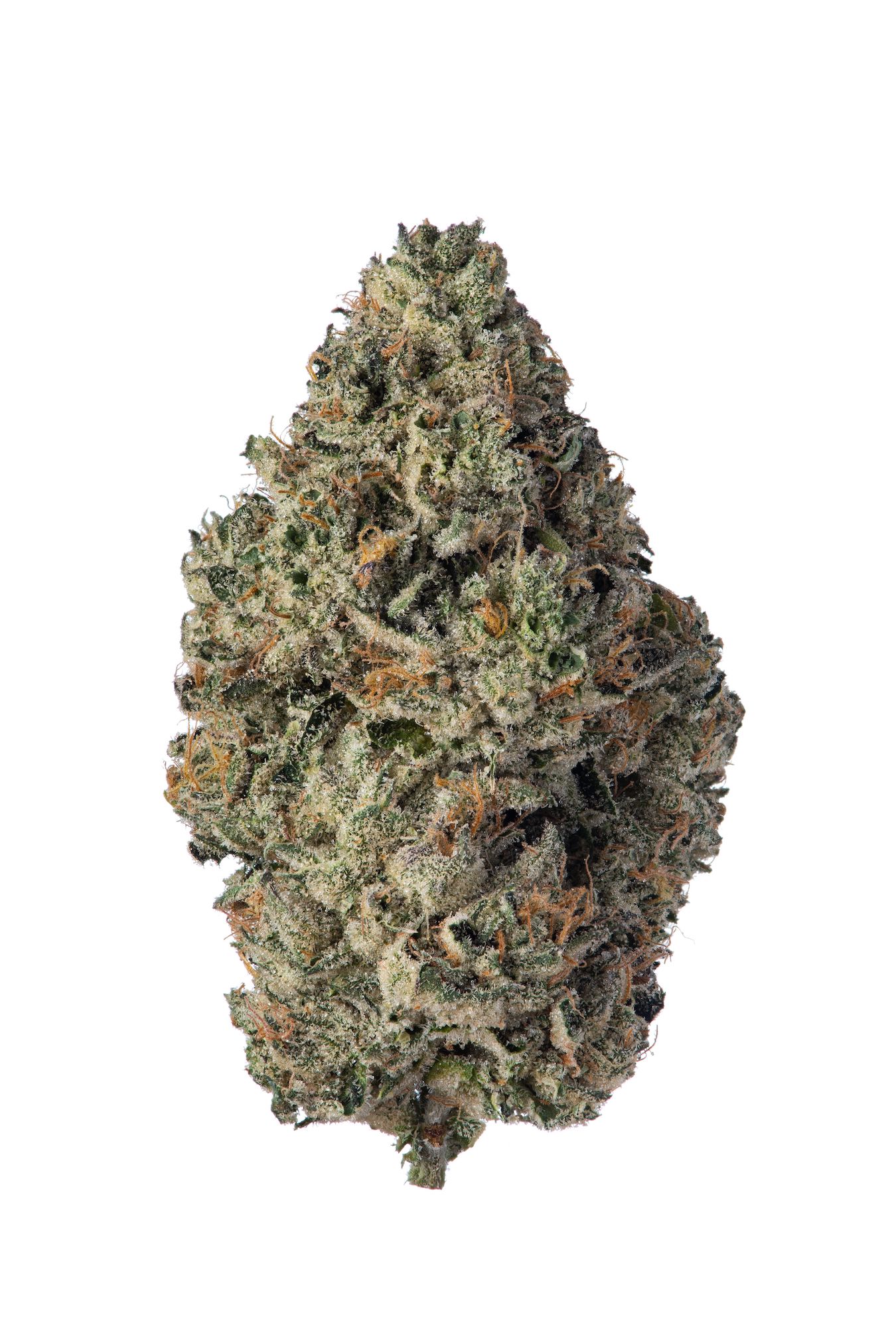 SOLACE GROWN - BLUE CHEM - POPCORN - 1/2 OZ 