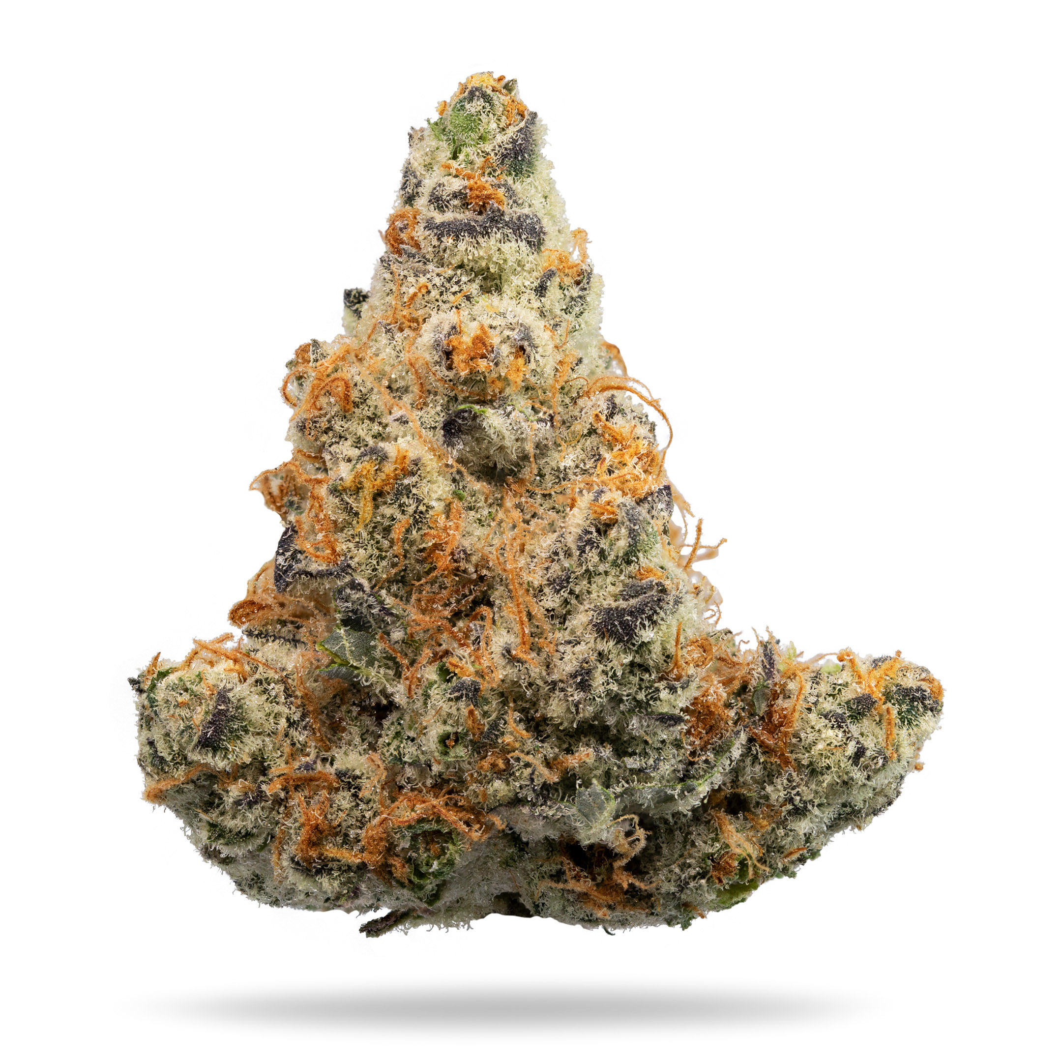 VERITAS - UNICORN POOP - 3.5G