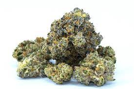 SOLACE GROWN - GARY PAYTON - TOP SHELF - 1/2 OZ