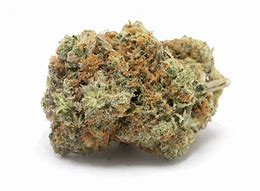 MALEK'S - PINK ZUSHI - 3.5G