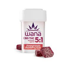 POMEGRANATE BLUEBERRY ACAI - 5:1 - GUMMIES - 100 mg