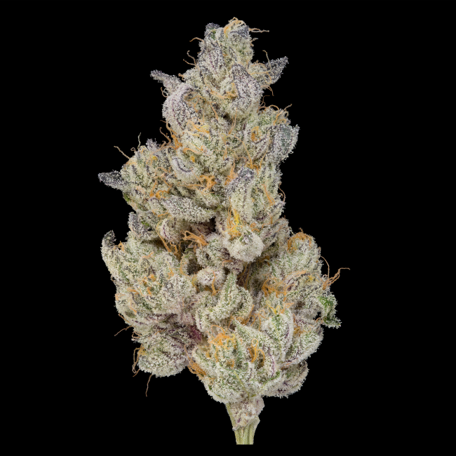 GREEN DOT LABS - BLUE APRICOT - 7G