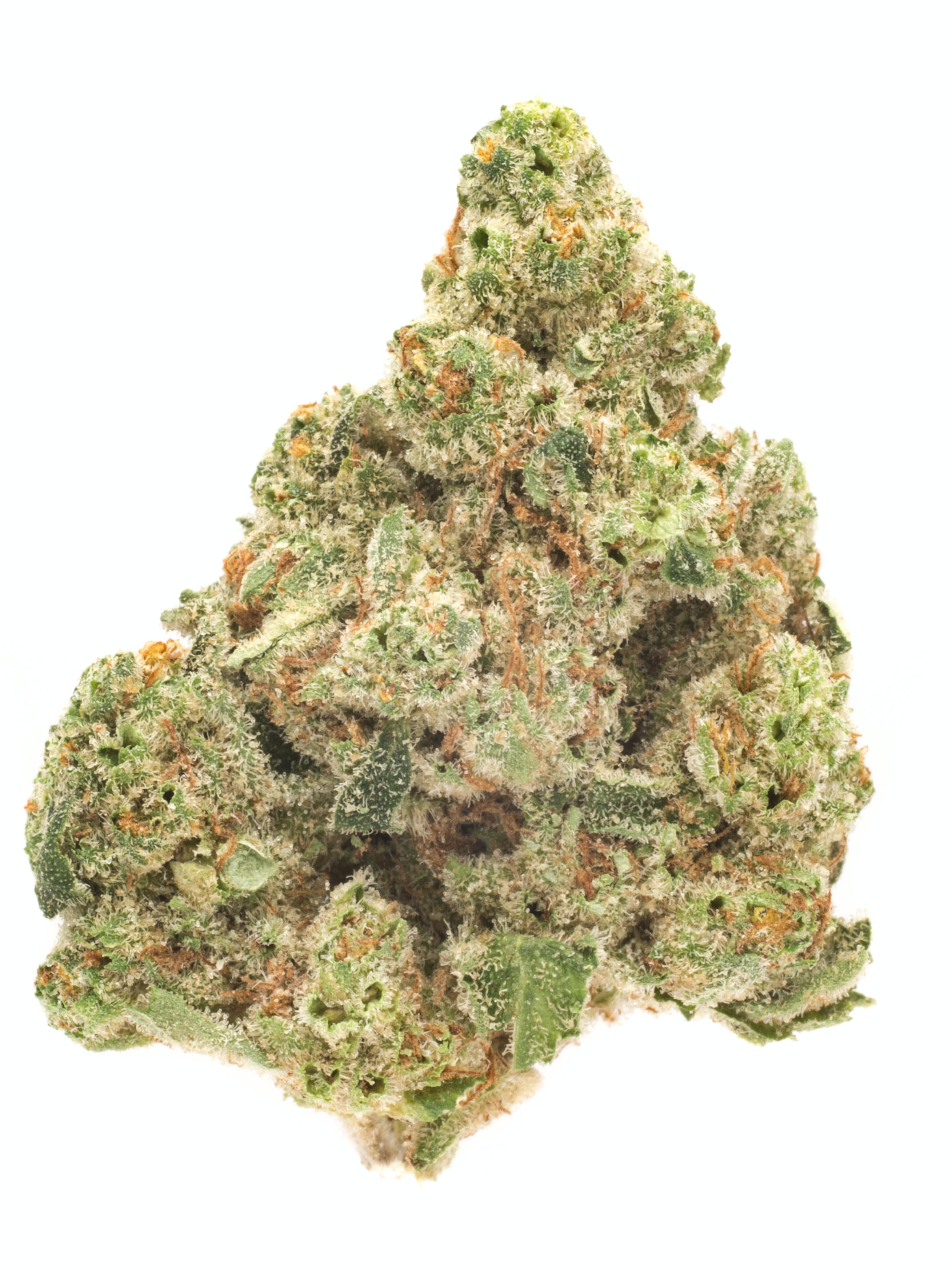 PRUNO -3.5G