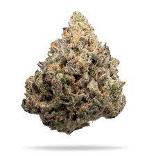 VERITAS - CIRCUS ACT- 3.5G