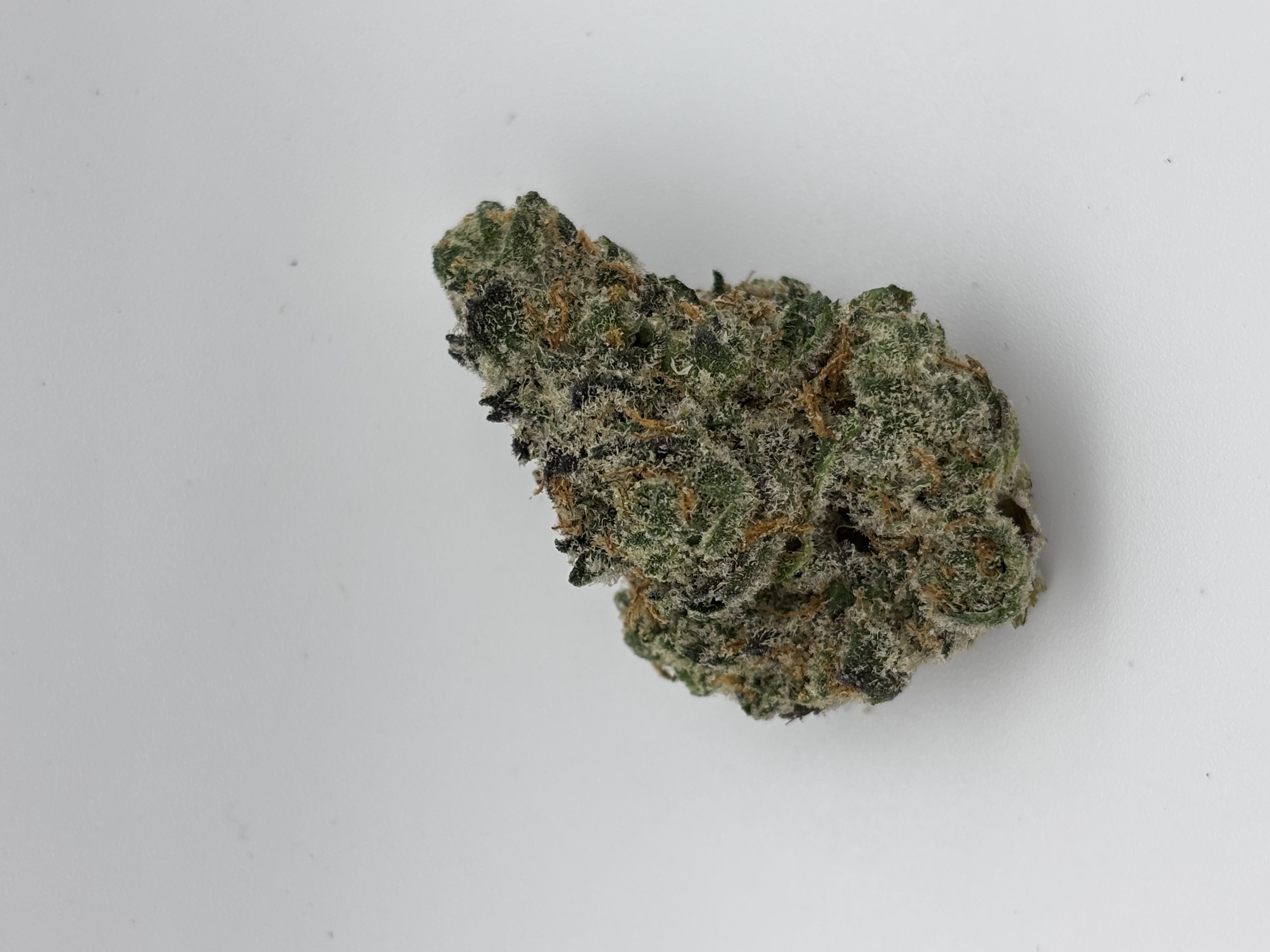 SOLACE GROWN - GRAPE CREAM CAKE - TOP SHELF - 1/2OZ