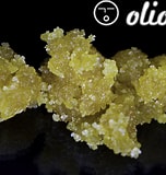 OLIO - SLURRICANE - LIVE RESIN WET SUGAR