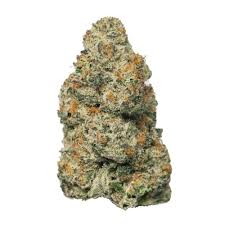 SOLACE GROWN - MINT BISCUITS - 4G