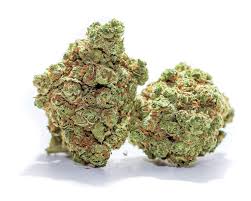 CLARITY GARDENS - TWILIGHT PRINCESS - TOP SHELF - 1/2 OZ