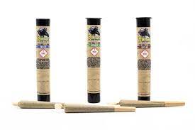 KING CONE - (BLAZE) - SATIVA - 1G