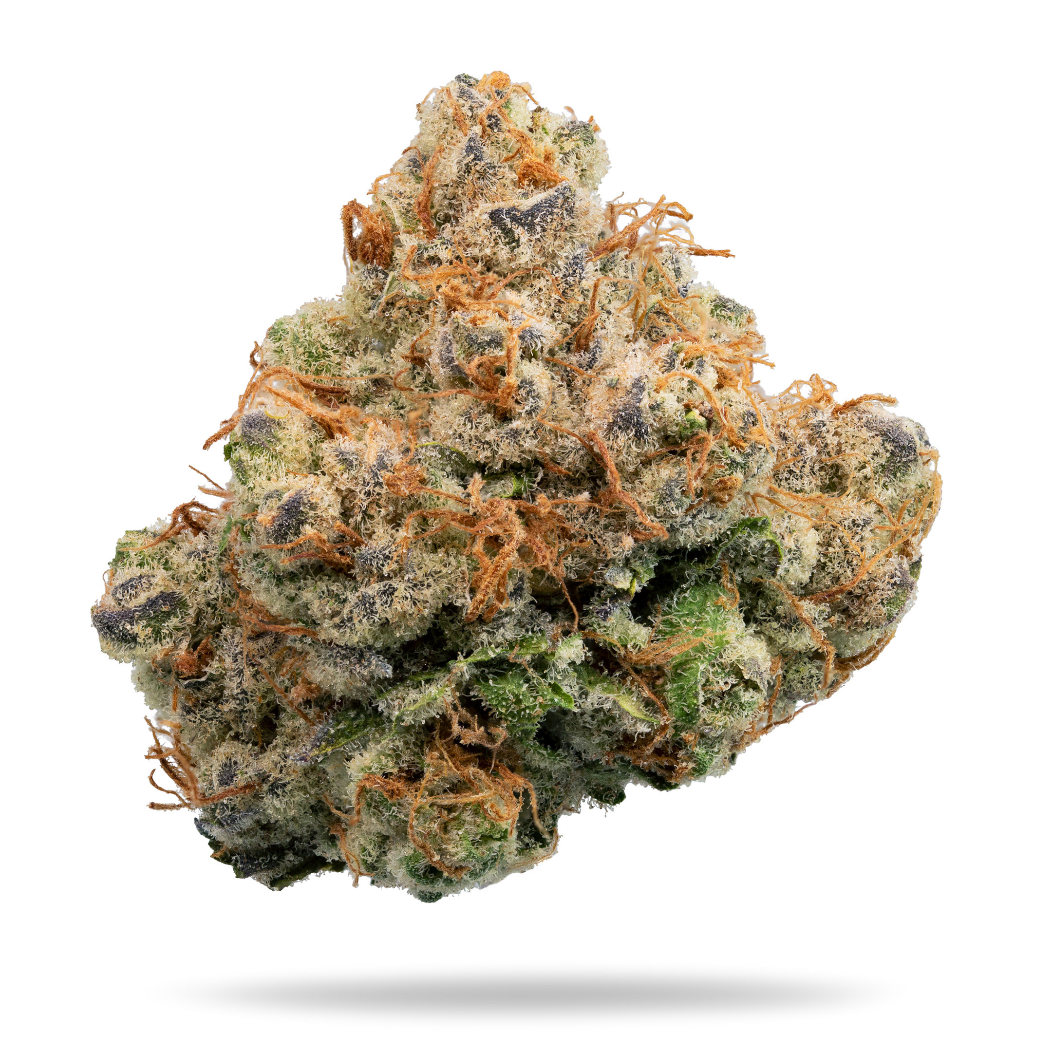 SKY 600 - 3.5G