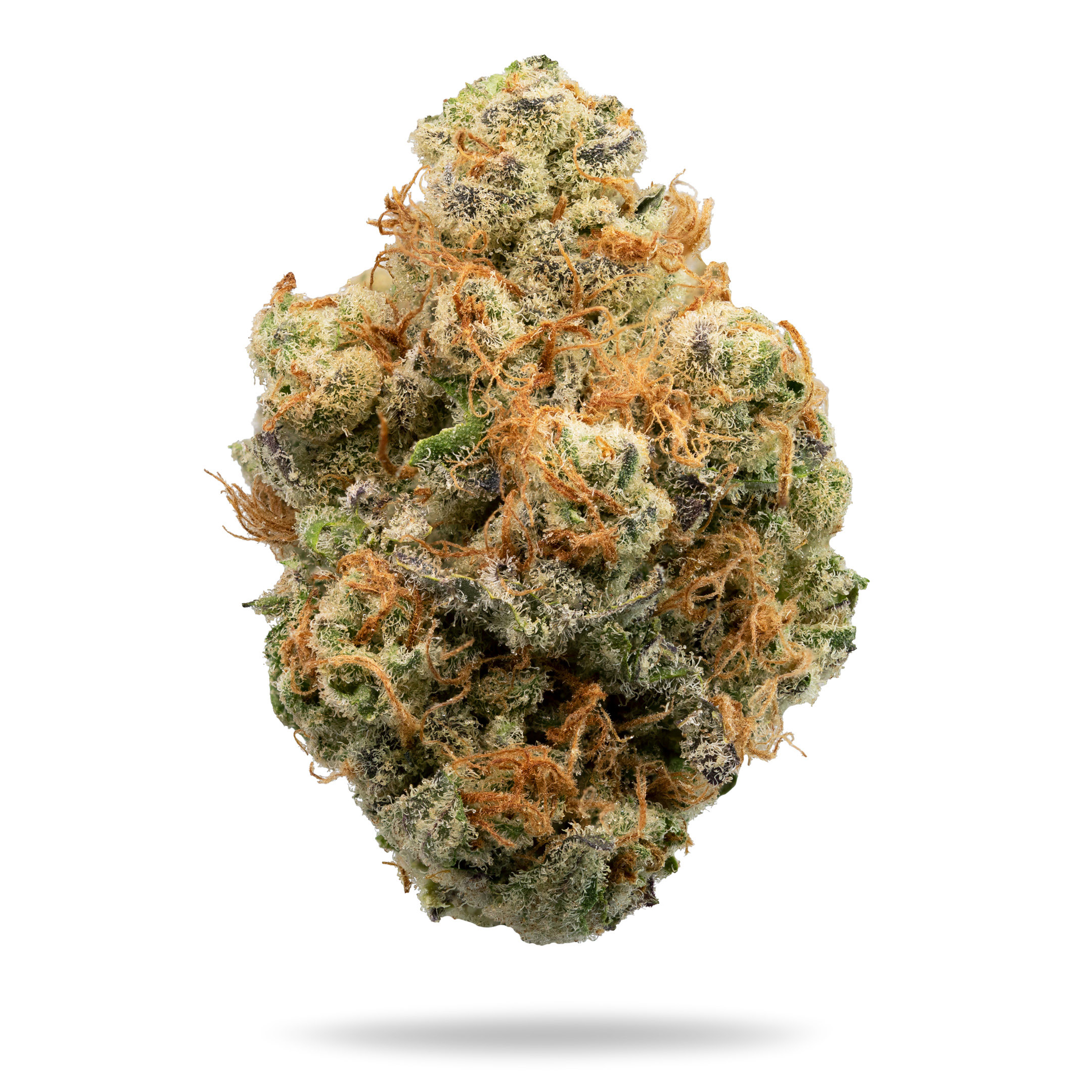 BLOOM COUNTY - GARLIC CRASHER - 3.5G