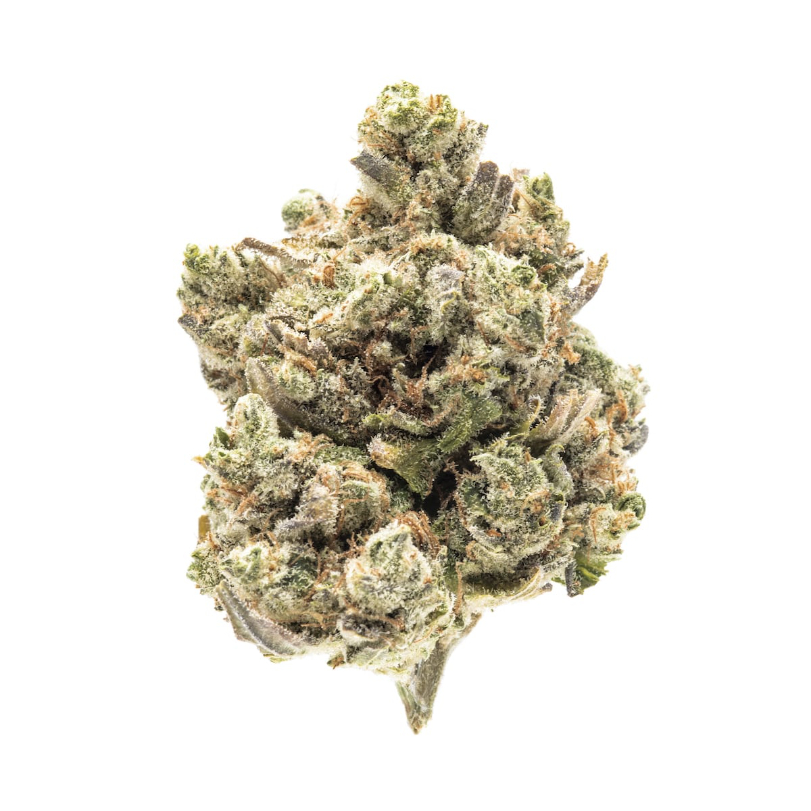 SHERBO - SALE POPCORN - 1/2OZ