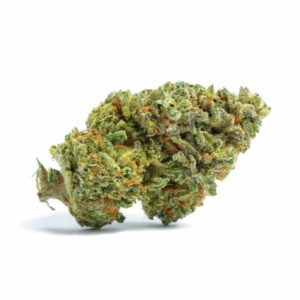 SOLACE GROWN - SOUR BERRY BLUE - 1G