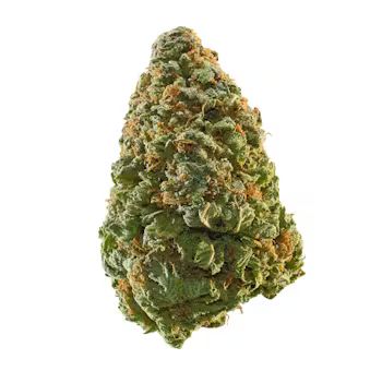 KINGPIN - WHY U GELLY - POPCORN 1/2 OZ