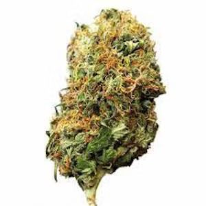 SOLACE GROWN - ROAD DAWG - 4G