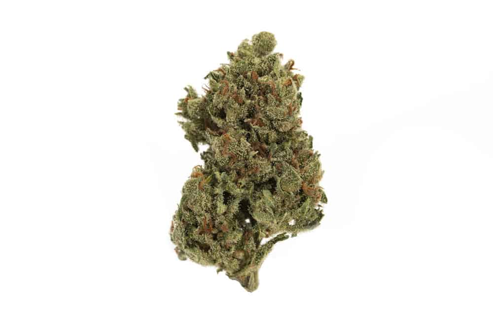 SEVEN LEAVES - GARY SATAN - 4G