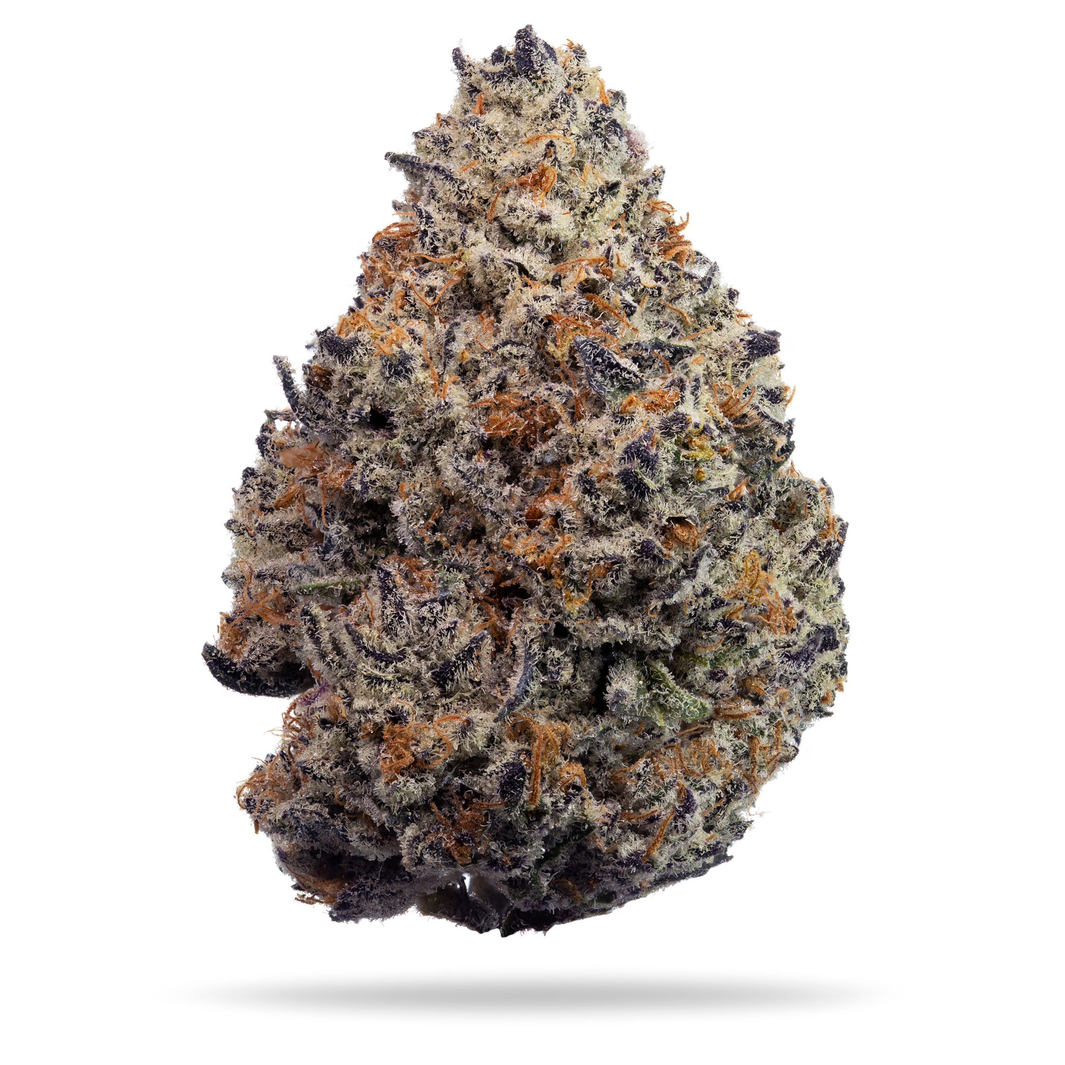 OREOZ - 3.5G