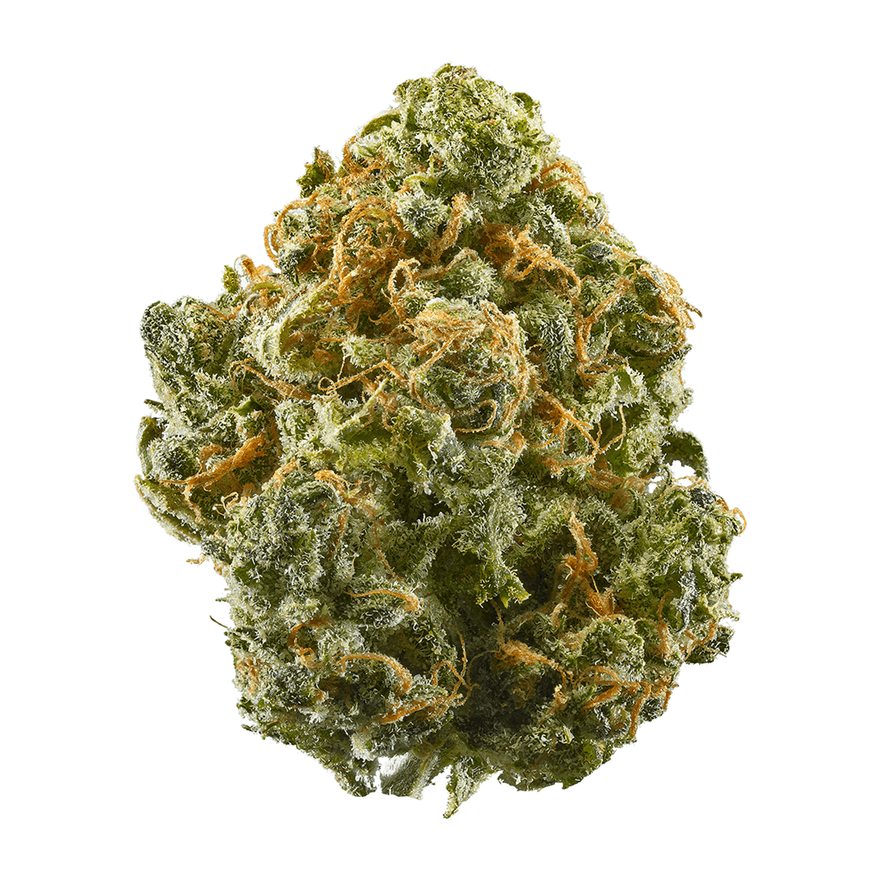 SOLACE GROWN - SHERBANGER - TOP SHELF - 1/2/ OZ