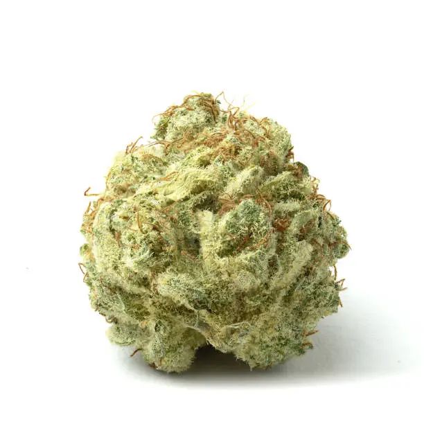 SOLACE GROWN- SUPER BOOF- 1G