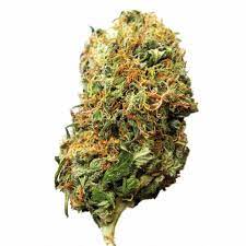 SOLACE GROWN - GRAPE CREAM CAKE - 4G