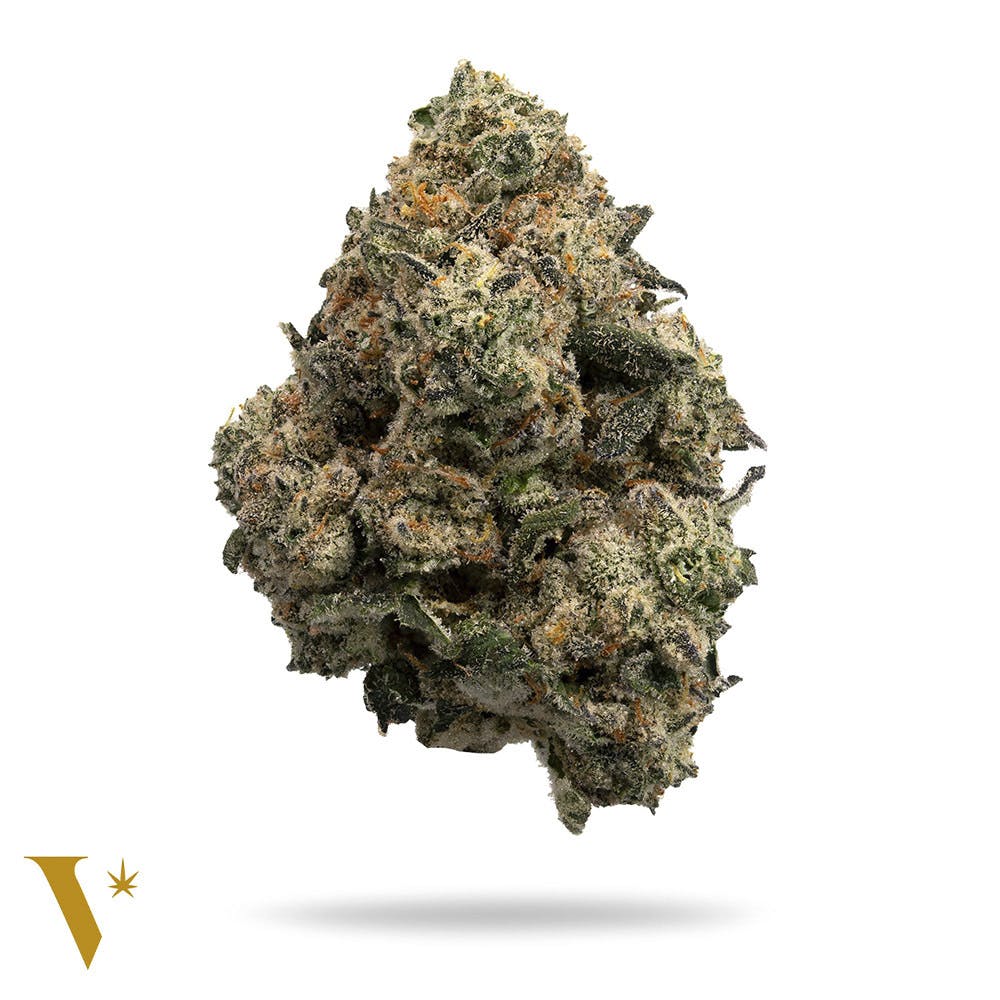 VERITAS - EL CHIVO - 3.5G