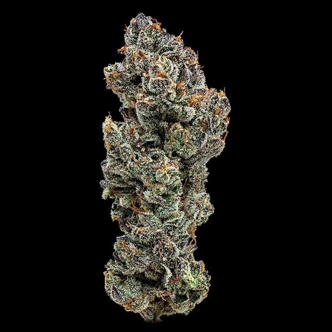 GMO - 14G
