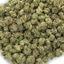 CLARITY GARDENS - MONKEY BITE - POPCORN - 1/2 OZ