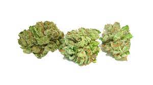 DIVINE KUSH BREATH - 4G