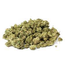 SHIFT - ACAI - POPCORN - 4G